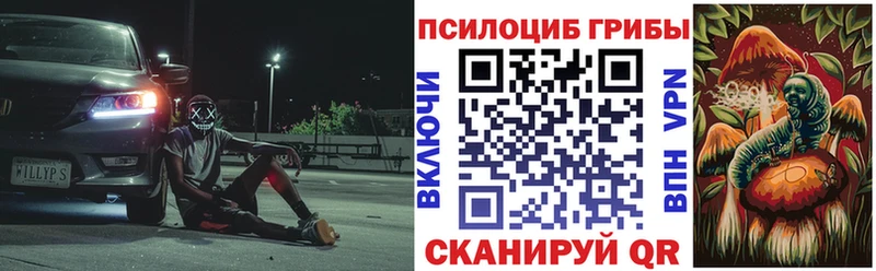 цена   Санкт-Петербург  Галлюциногенные грибы Cubensis 